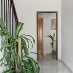 Piso Ureba, Bajo